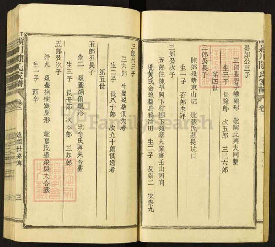 福建省三明市宁化县陈氏族谱-壬申颖川陈氏家谱.pdf电子版预览图3