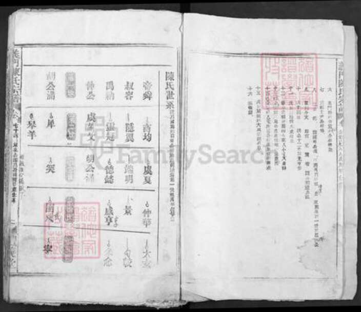 湖北省黄石市大冶市陈氏体义堂族谱-义门陈氏大成宗谱.pdf电子版预览图2