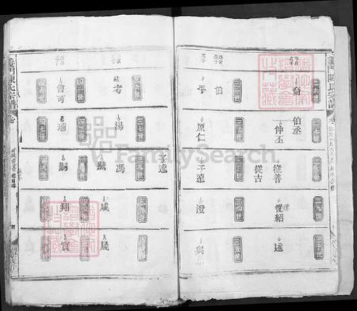 湖北省黄石市大冶市陈氏体义堂族谱-义门陈氏大成宗谱.pdf电子版预览图4