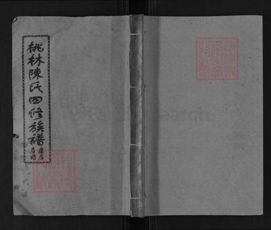 湖南省湘潭市湘乡市湘乡陈氏德星堂族谱-桃林陈氏四修族谱.pdf电子版缩略图