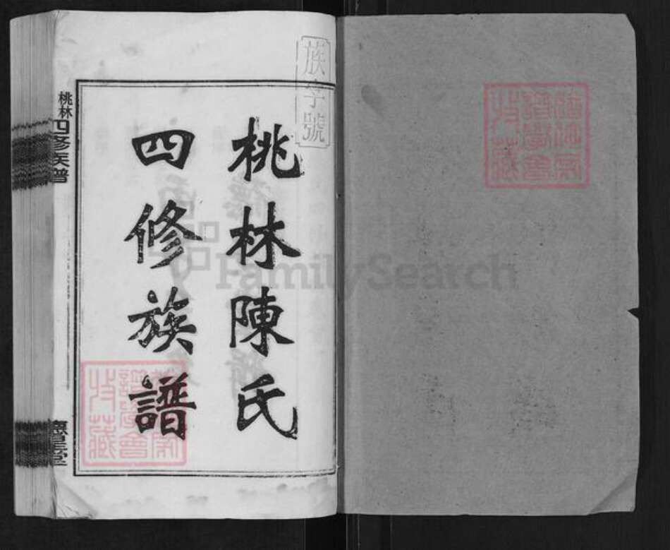 湖南省湘潭市湘乡市湘乡陈氏德星堂族谱-桃林陈氏四修族谱.pdf电子版预览图1