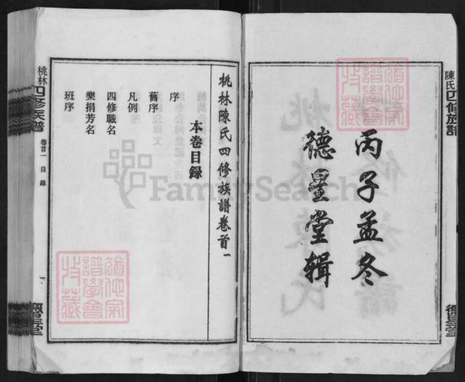 湖南省湘潭市湘乡市湘乡陈氏德星堂族谱-桃林陈氏四修族谱.pdf电子版预览图2
