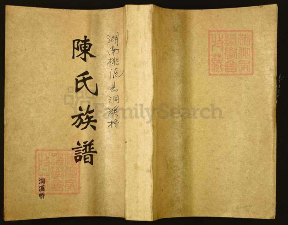 湖南省常德市桃源县陈氏族谱-陈氏族谱.洞溪桥.pdf电子版缩略图