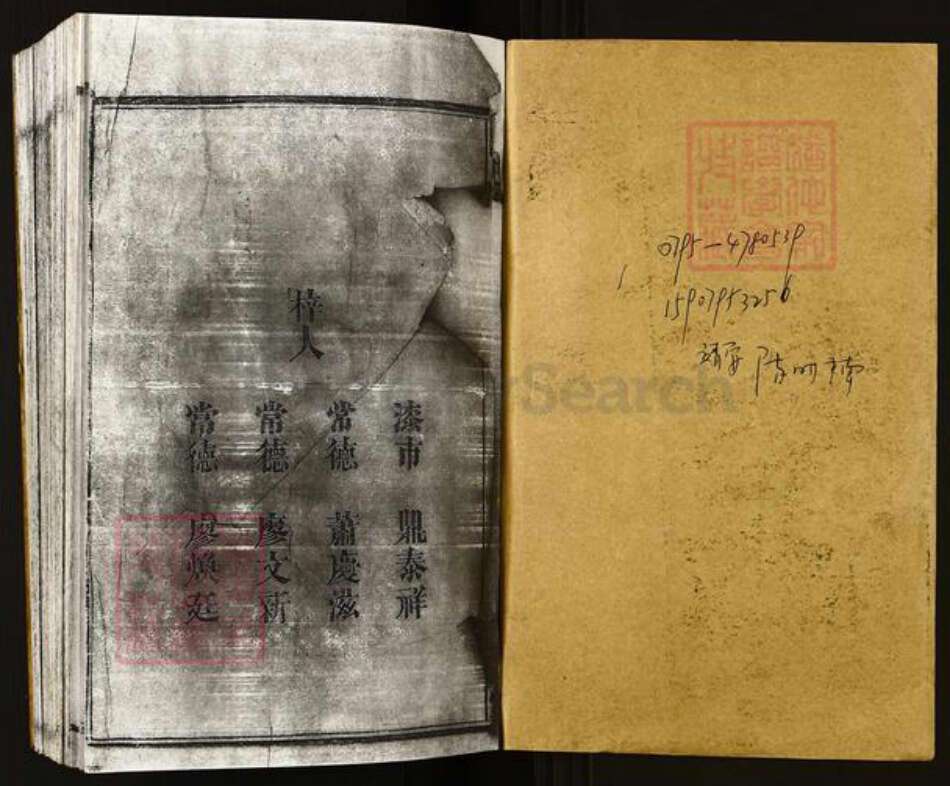湖南省常德市桃源县陈氏族谱-陈氏族谱.洞溪桥.pdf电子版预览图1