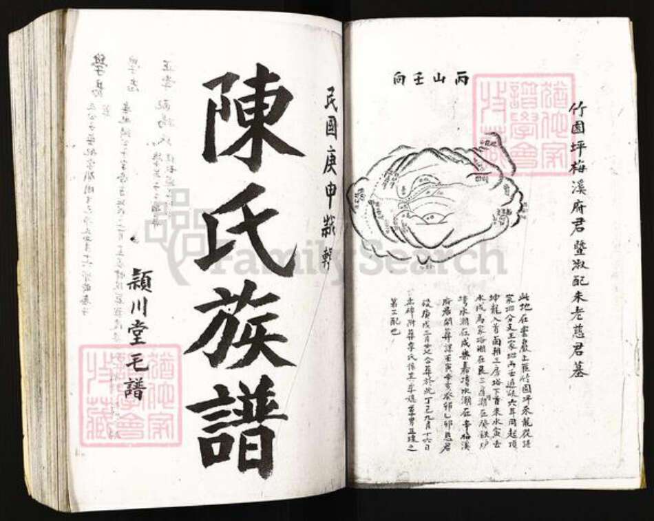 湖南省常德市桃源县陈氏族谱-陈氏族谱.pdf电子版预览图1