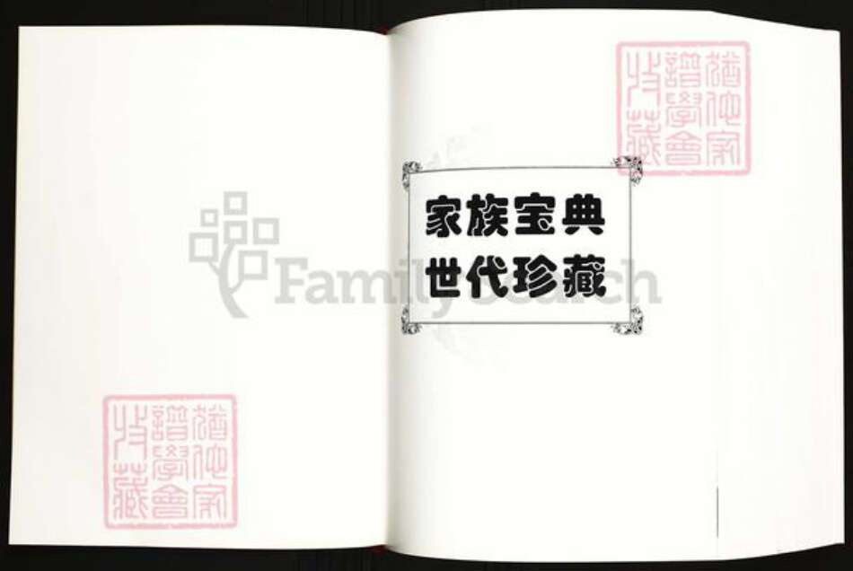 福建省龙岩市陈氏族谱-龙岩罗陈文安族谱(重修本).pdf电子版预览图1