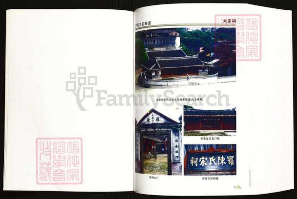 福建省龙岩市陈氏族谱-龙岩罗陈文安族谱(重修本).pdf电子版预览图2