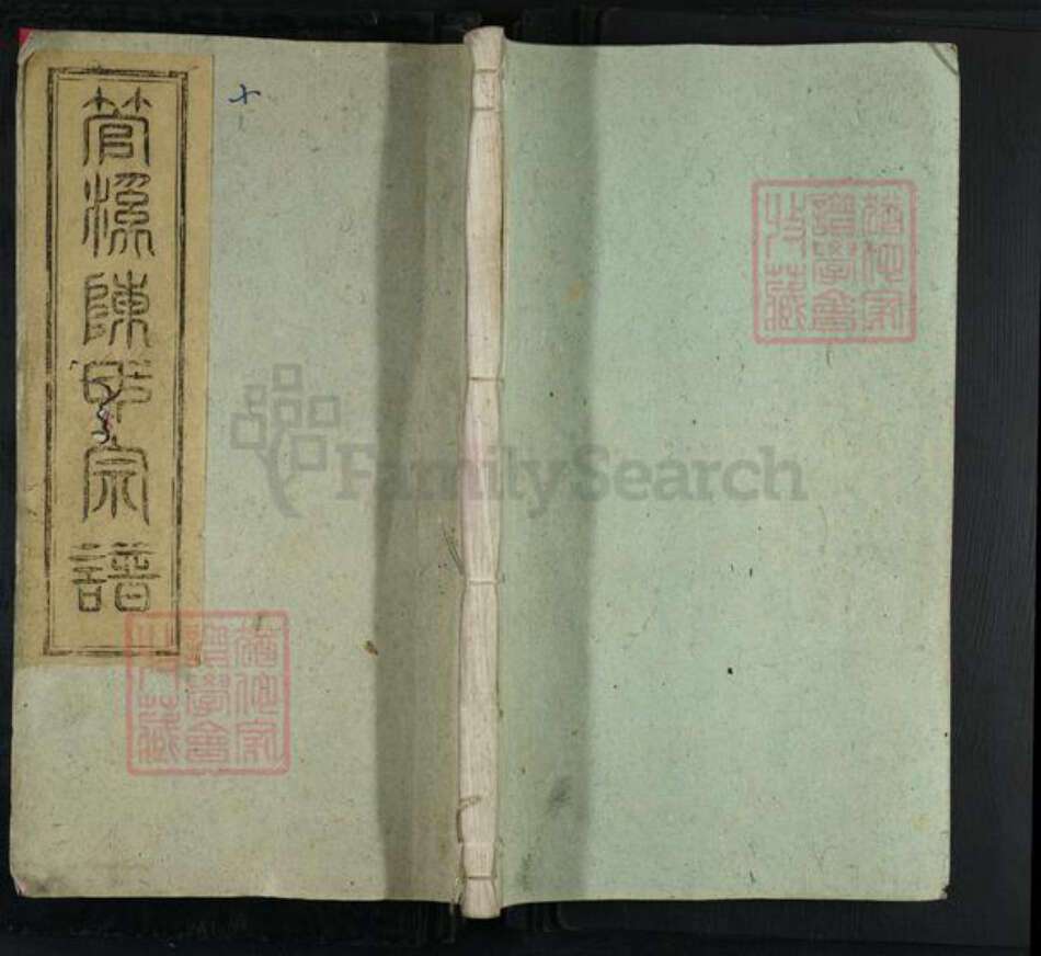 安徽省池州市石台县陈氏继善堂族谱-管溪陈氏宗谱.pdf电子版缩略图