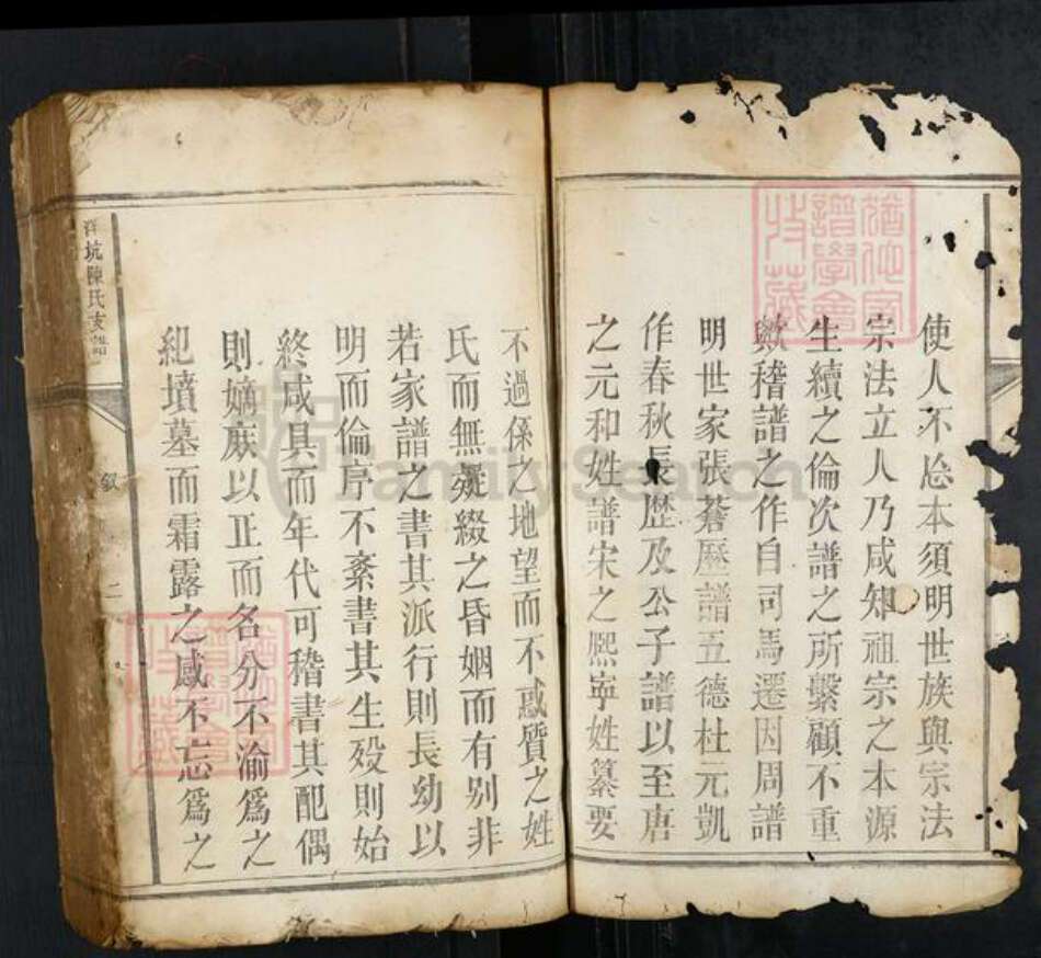 江西省赣州市瑞金市瑞林镇陈氏族谱-洋坑陈氏支谱.pdf电子版预览图2