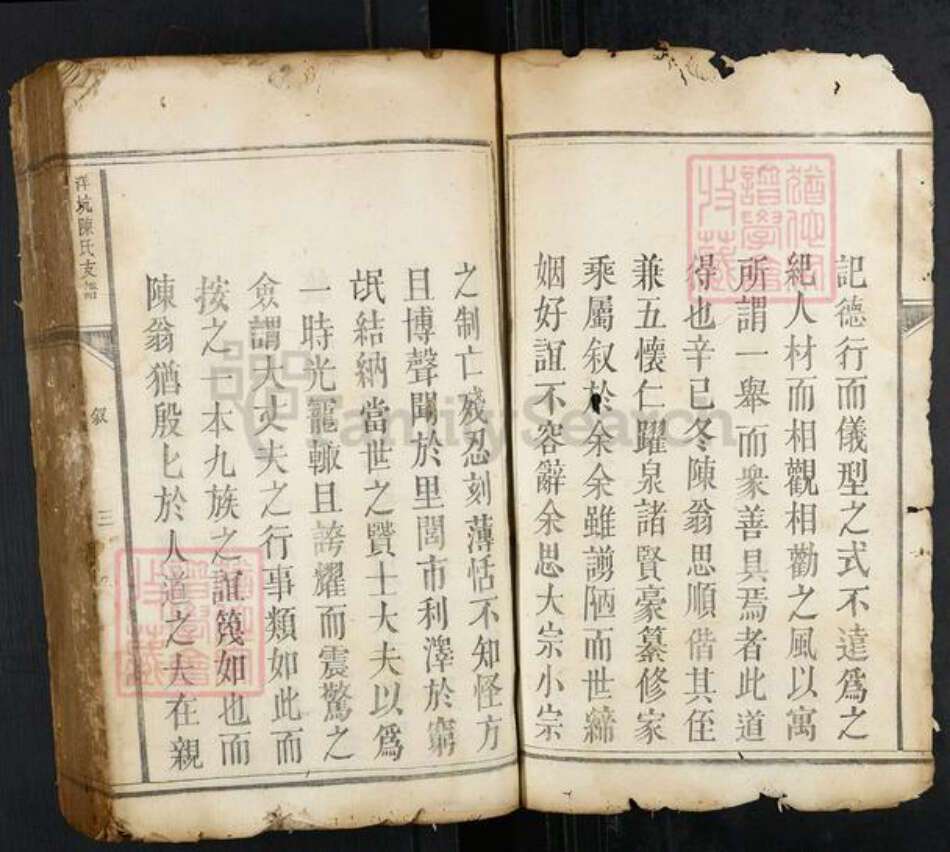 江西省赣州市瑞金市瑞林镇陈氏族谱-洋坑陈氏支谱.pdf电子版预览图3