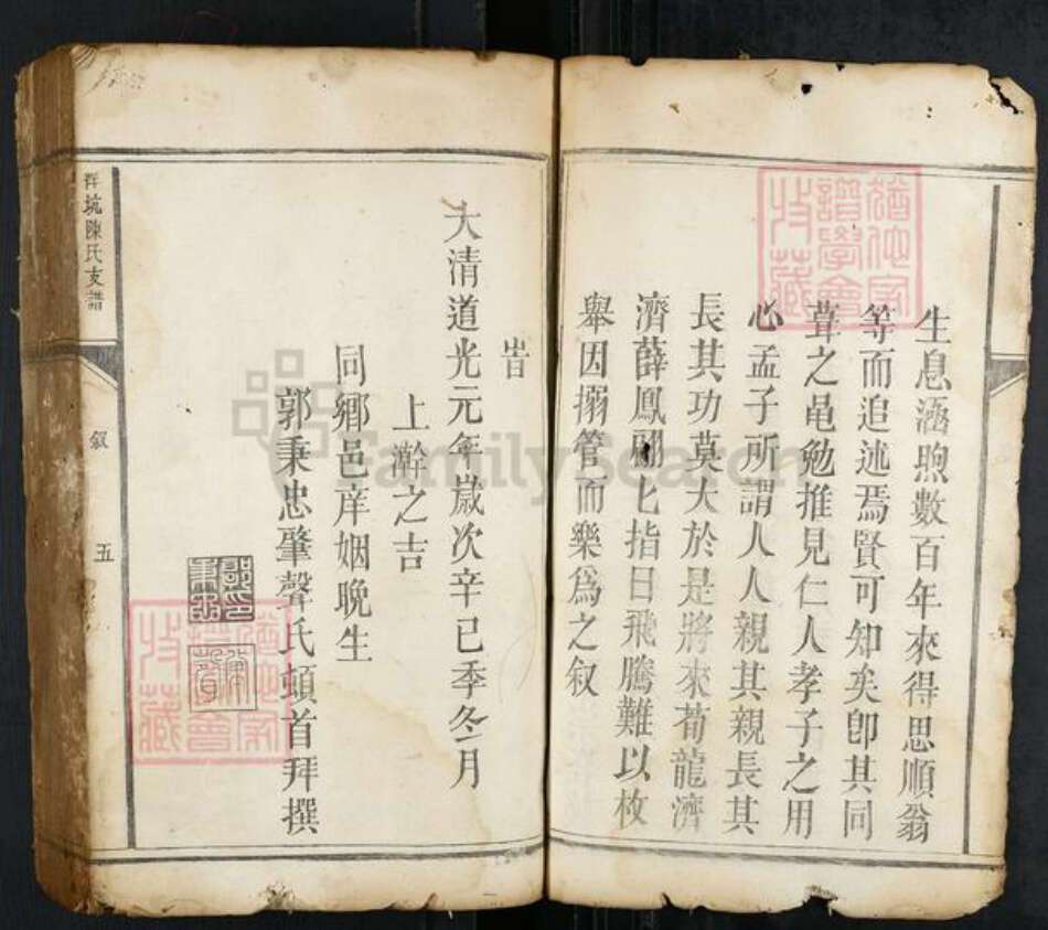 江西省赣州市瑞金市瑞林镇陈氏族谱-洋坑陈氏支谱.pdf电子版预览图5