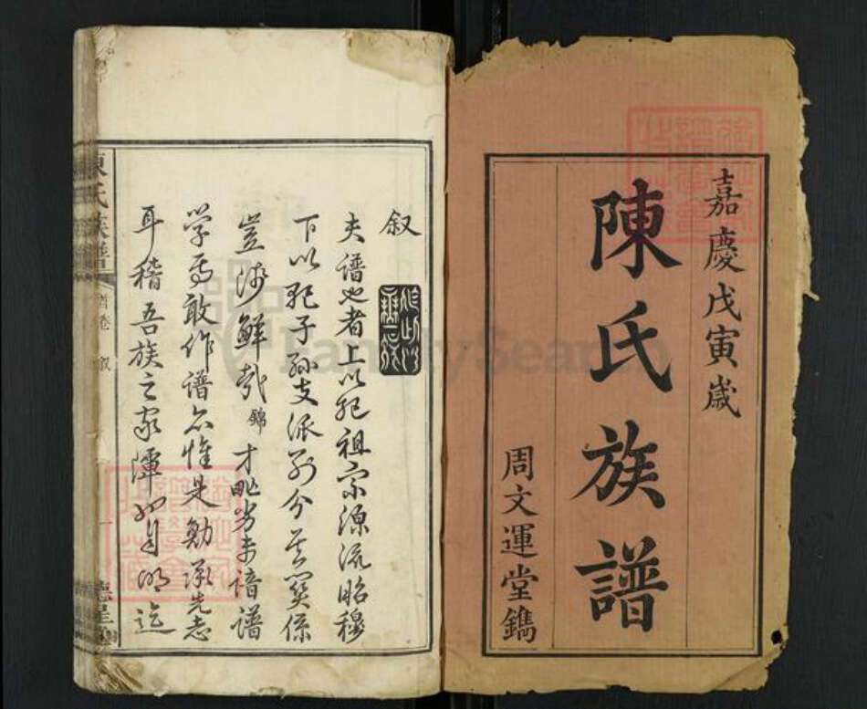 湖南省湘潭市雨湖区陈氏德星堂族谱-陈氏族谱.pdf电子版预览图1