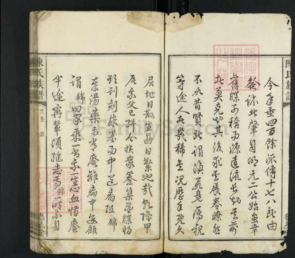 湖南省湘潭市雨湖区陈氏德星堂族谱-陈氏族谱.pdf电子版预览图2