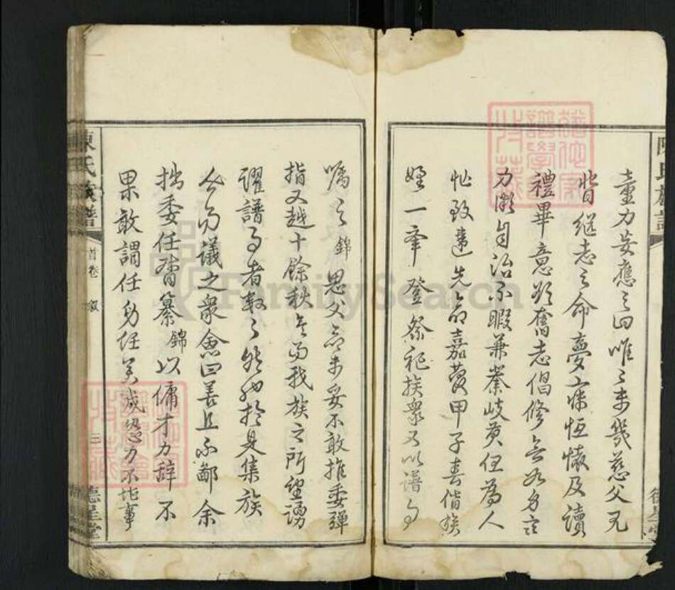 湖南省湘潭市雨湖区陈氏德星堂族谱-陈氏族谱.pdf电子版预览图3
