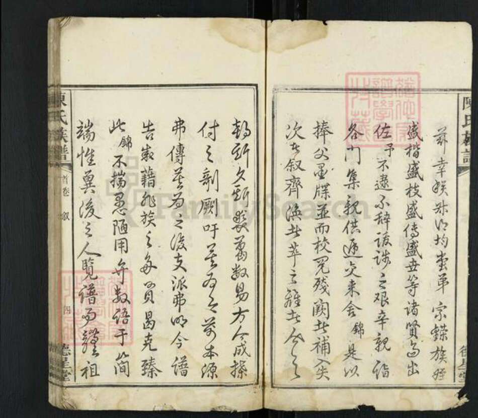 湖南省湘潭市雨湖区陈氏德星堂族谱-陈氏族谱.pdf电子版预览图4