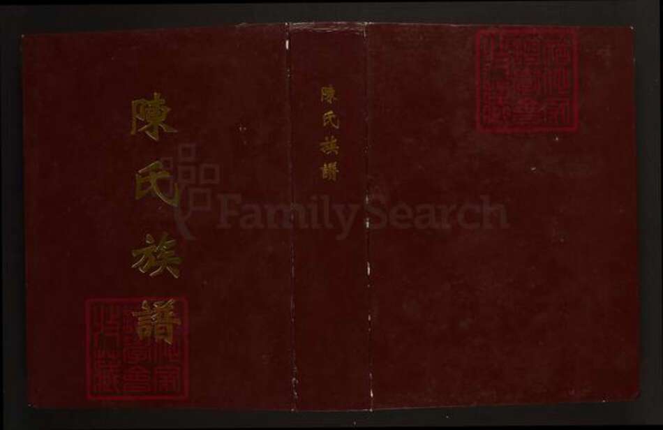 湖南省张家界桑植县陈氏族谱-陈氏族谱.pdf电子版缩略图