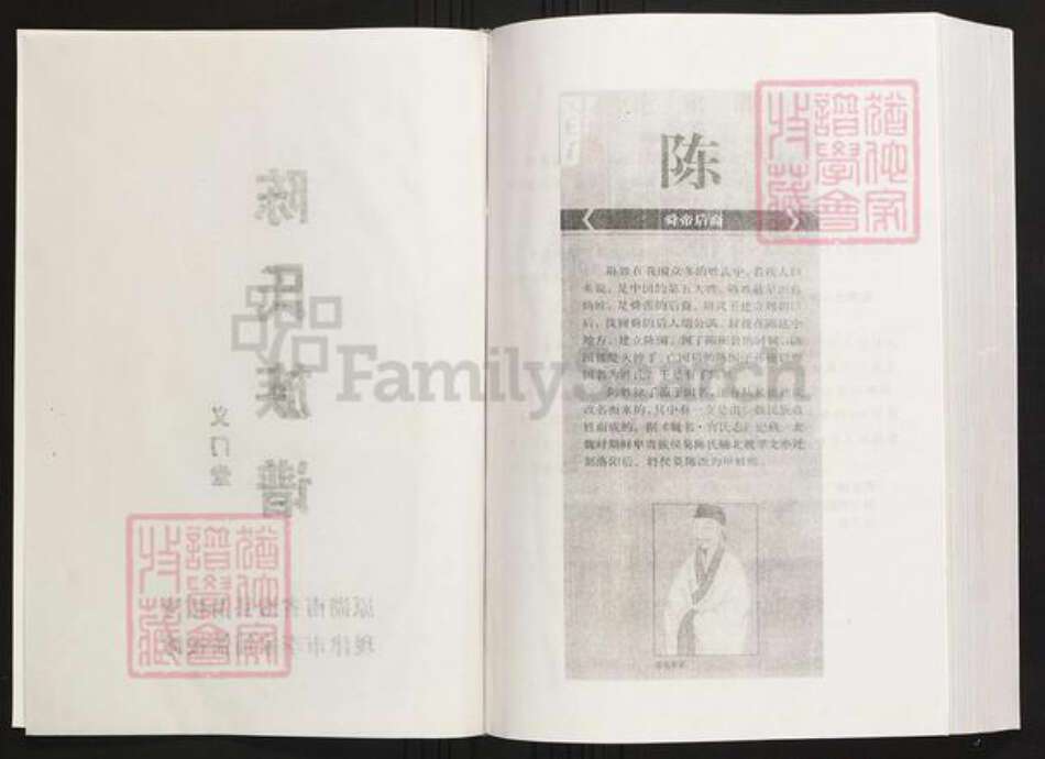 湖南省常德市陈氏族谱-陈氏族谱.义门堂.pdf电子版预览图2
