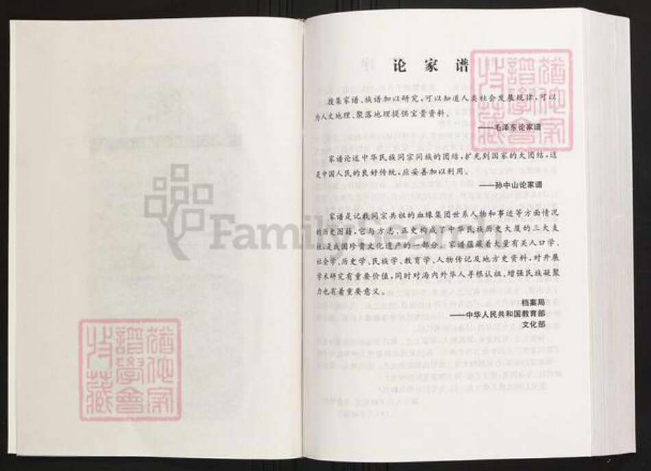 湖南省常德市陈氏族谱-陈氏族谱.义门堂.pdf电子版预览图3
