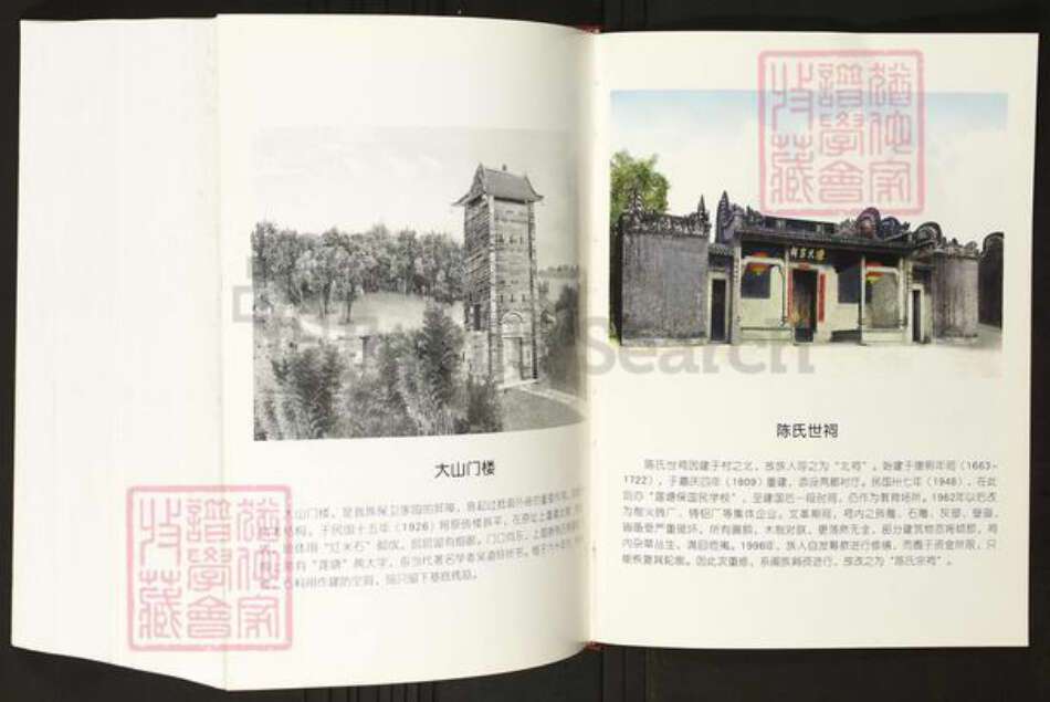 广东省佛山市禅城区陈氏族谱-莲塘陈氏族志.pdf电子版预览图2