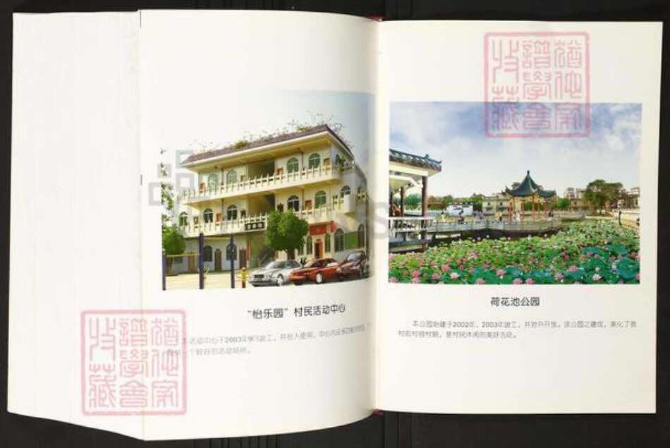 广东省佛山市禅城区陈氏族谱-莲塘陈氏族志.pdf电子版预览图3