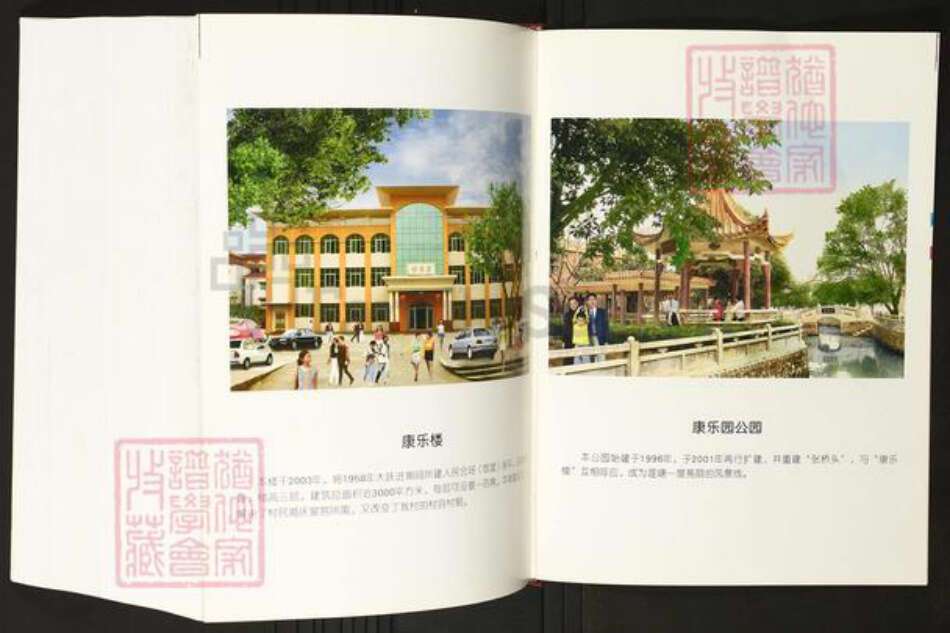 广东省佛山市禅城区陈氏族谱-莲塘陈氏族志.pdf电子版预览图4