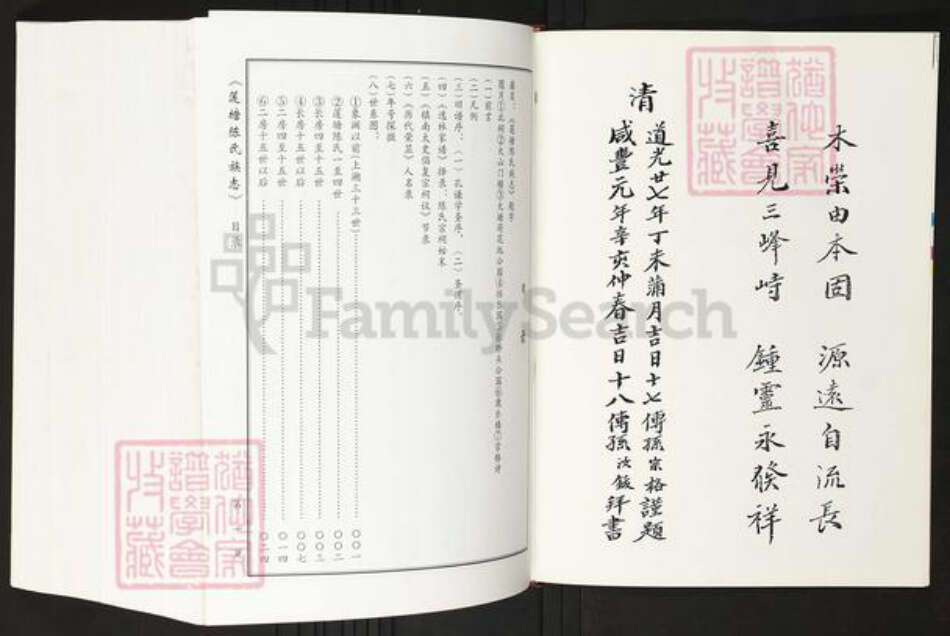 广东省佛山市禅城区陈氏族谱-莲塘陈氏族志.pdf电子版预览图5