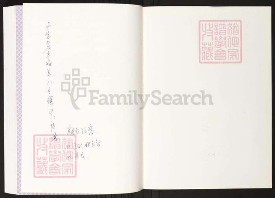 广东省梅州市丰顺县陈氏族谱-丰顺县八乡陈氏族谱.pdf电子版预览图1