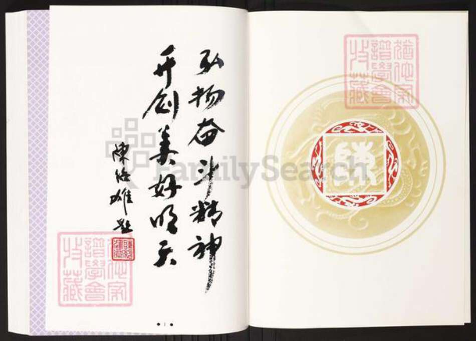 广东省梅州市丰顺县陈氏族谱-丰顺县八乡陈氏族谱.pdf电子版预览图2