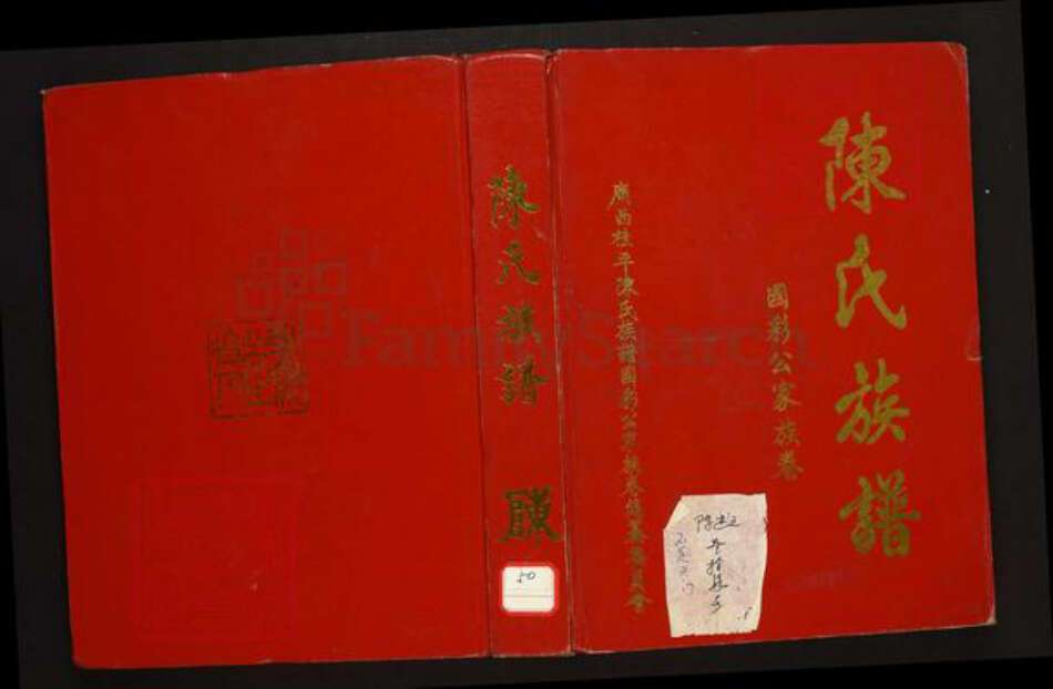 广西壮族自治区玉林桂平陈氏族谱-陈氏族谱.国彩公家族卷.pdf电子版缩略图