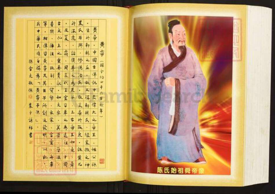广西壮族自治区玉林桂平陈氏族谱-陈氏族谱.国彩公家族卷.pdf电子版预览图4