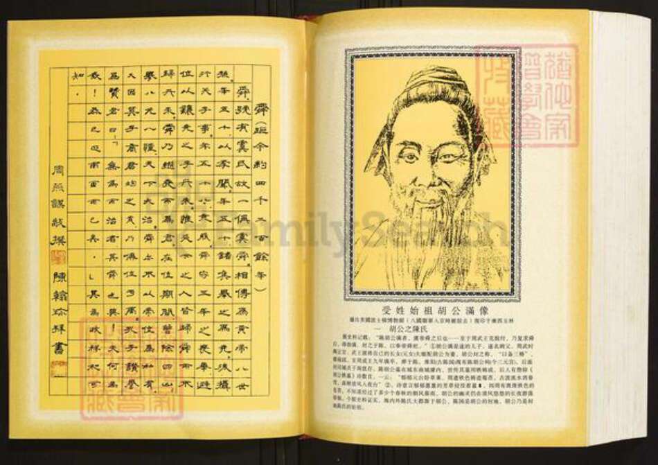 广西壮族自治区玉林桂平陈氏族谱-陈氏族谱.国彩公家族卷.pdf电子版预览图5