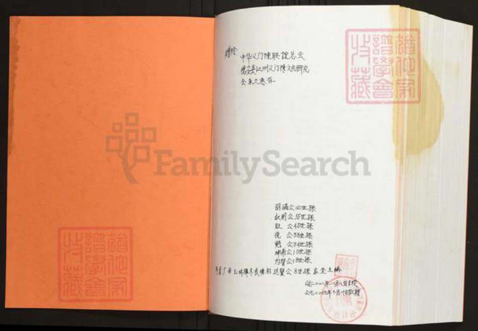 广西壮族自治区玉林兴业县陈氏族谱-陈氏族谱.粤桂俛公支系.pdf电子版预览图1