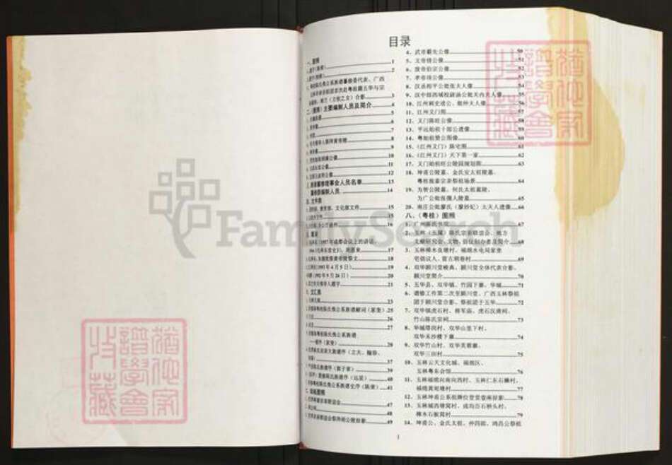 广西壮族自治区玉林兴业县陈氏族谱-陈氏族谱.粤桂俛公支系.pdf电子版预览图2