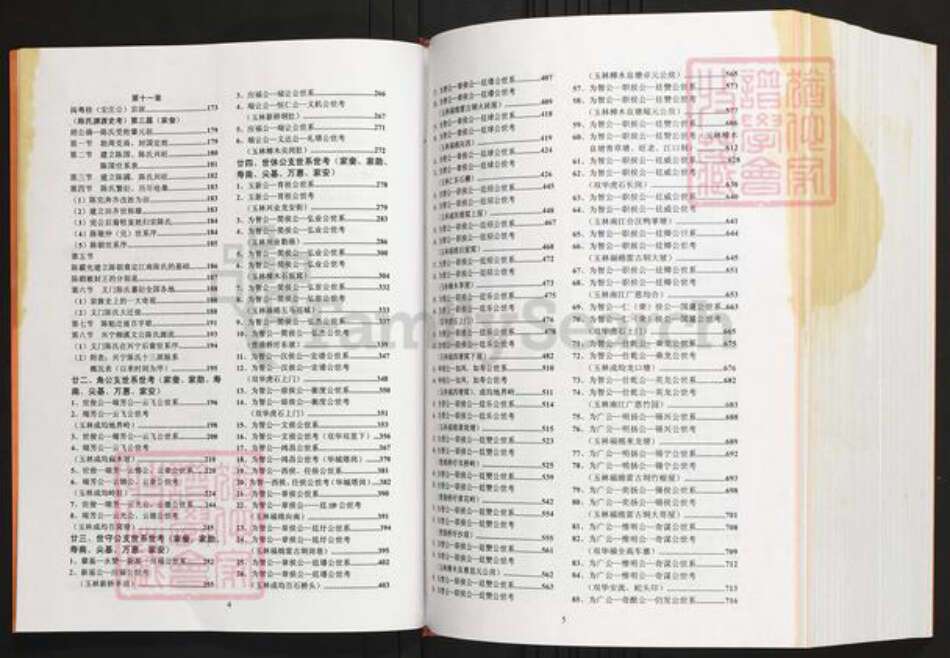 广西壮族自治区玉林兴业县陈氏族谱-陈氏族谱.粤桂俛公支系.pdf电子版预览图4