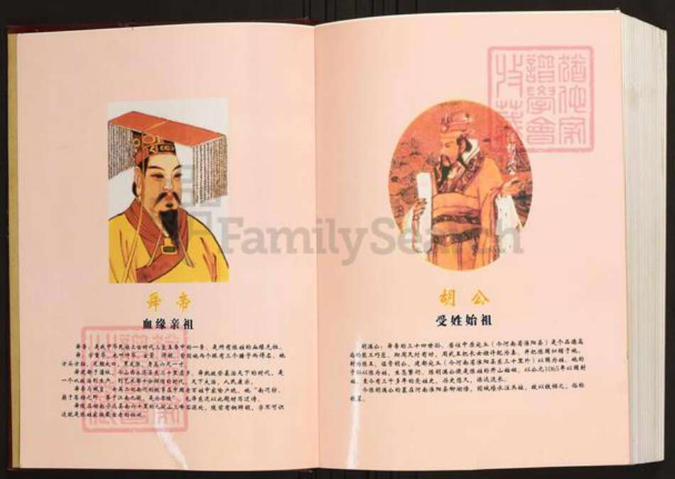 江西省赣州市寻乌县陈氏族谱-陈氏族谱.寻乌·到狮角.pdf电子版预览图2