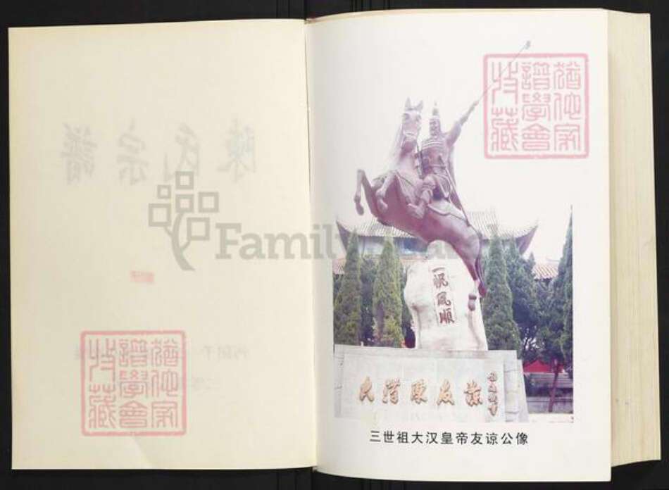 湖北省荆州市洪湖市陈氏族谱-陈氏家谱.pdf电子版预览图2