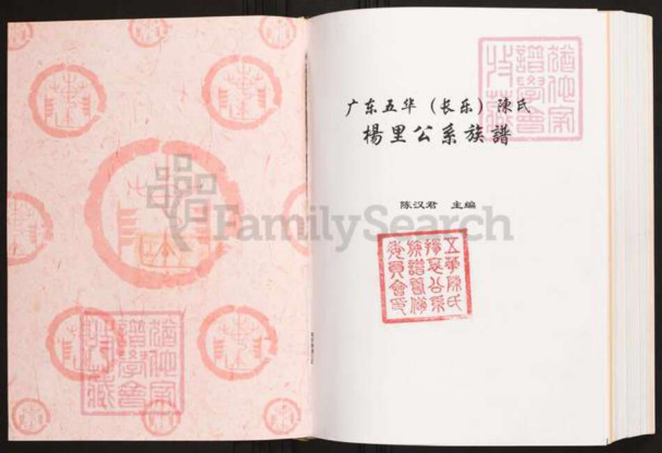 广东省梅州市五华县陈氏族谱-广东五华(长乐)陈氏.扬里公系族谱.pdf电子版预览图1