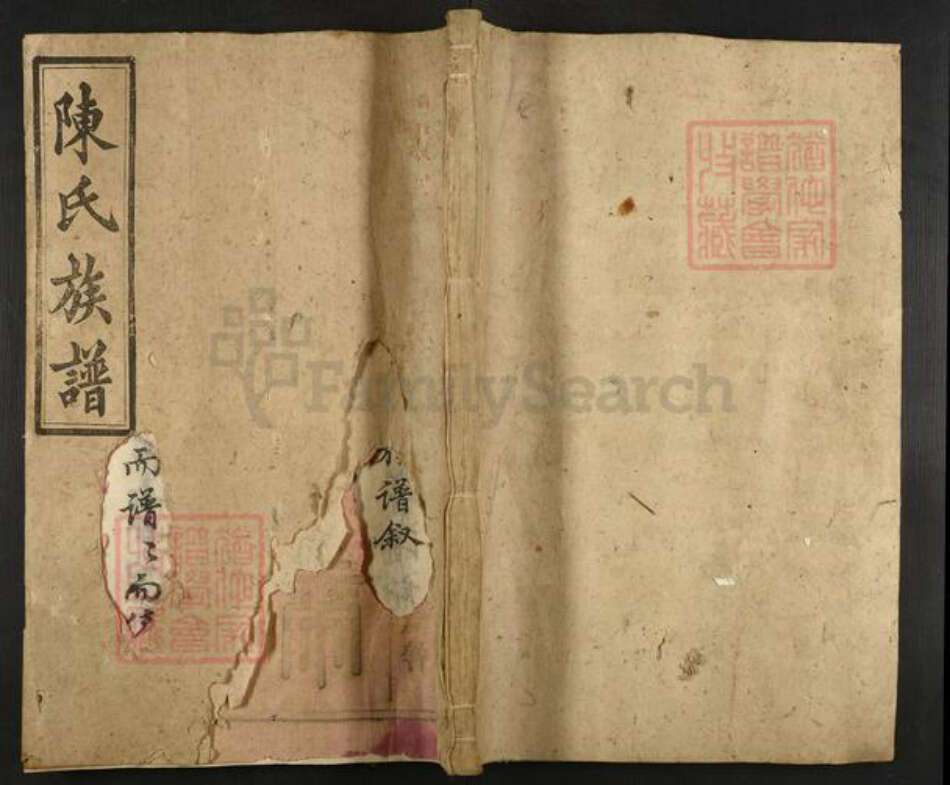 湖南省郴州市永兴县便江街道陈氏元龙堂族谱-陈氏四修族谱.pdf电子版缩略图