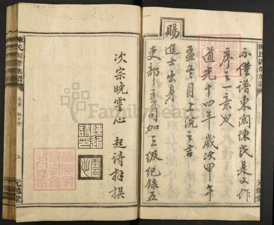 湖南省郴州市永兴县便江街道陈氏元龙堂族谱-陈氏四修族谱.pdf电子版预览图5
