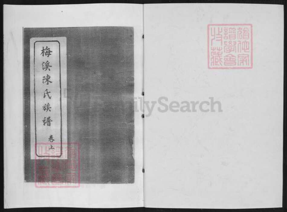 福建省泉州市南安市洪梅镇陈氏族谱-南安梅溪陈氏族谱.pdf电子版预览图1