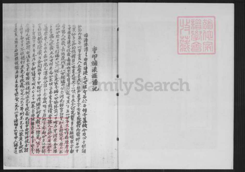 福建省泉州市南安市洪梅镇陈氏族谱-南安梅溪陈氏族谱.pdf电子版预览图2