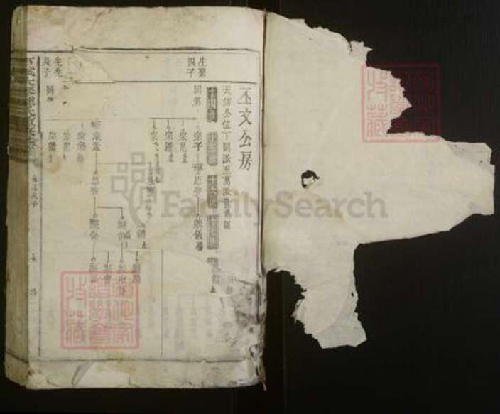 江西省赣州市石城县陈氏族谱-石城大琴陈氏重修族谱.pdf电子版预览图1