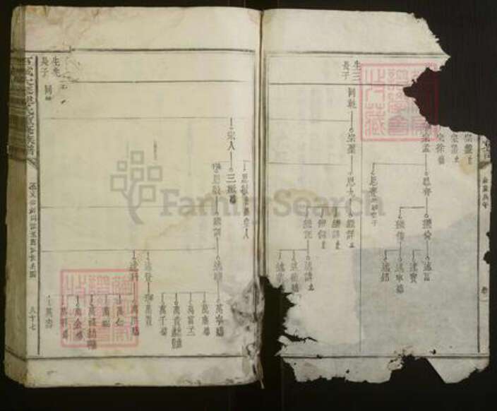 江西省赣州市石城县陈氏族谱-石城大琴陈氏重修族谱.pdf电子版预览图2