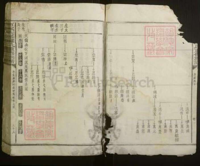 江西省赣州市石城县陈氏族谱-石城大琴陈氏重修族谱.pdf电子版预览图3