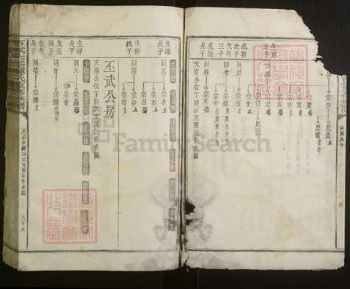 江西省赣州市石城县陈氏族谱-石城大琴陈氏重修族谱.pdf电子版预览图4