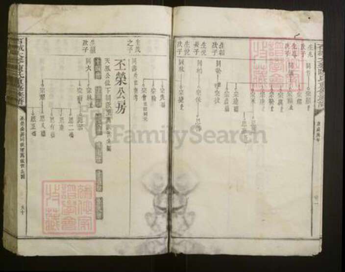 江西省赣州市石城县陈氏族谱-石城大琴陈氏重修族谱.pdf电子版预览图5