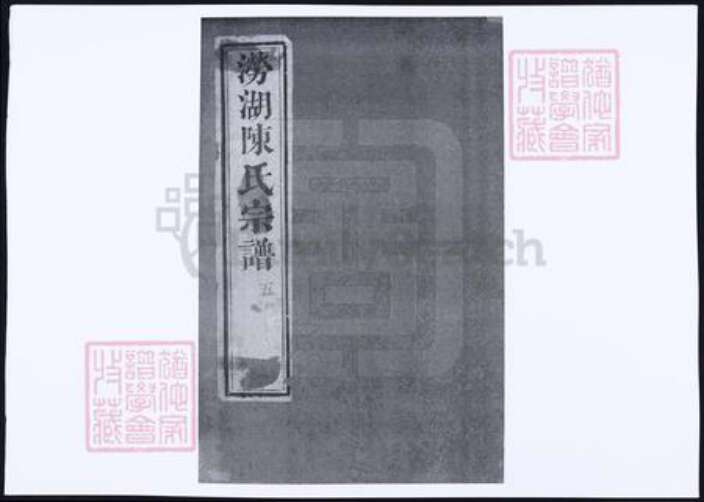 浙江省杭州市萧山区萧山陈氏族谱-涝湖陈氏宗谱.pdf电子版缩略图