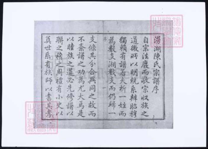 浙江省杭州市萧山区萧山陈氏族谱-涝湖陈氏宗谱.pdf电子版预览图3