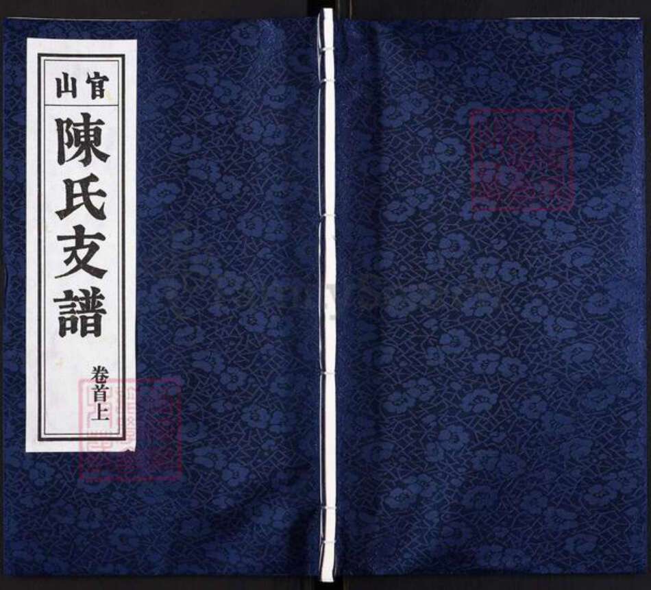 安徽省安庆市桐城市陈氏族谱-陈氏支谱[10卷首2卷].pdf电子版缩略图