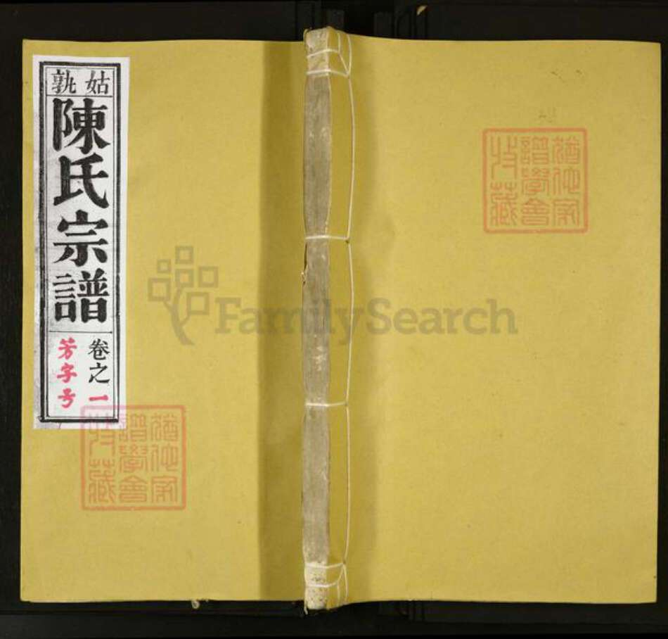 安徽省马鞍山市当涂县陈氏族谱-陈氏宗谱.pdf电子版缩略图